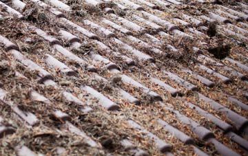 Allt Yr Yn roof cleaning companies